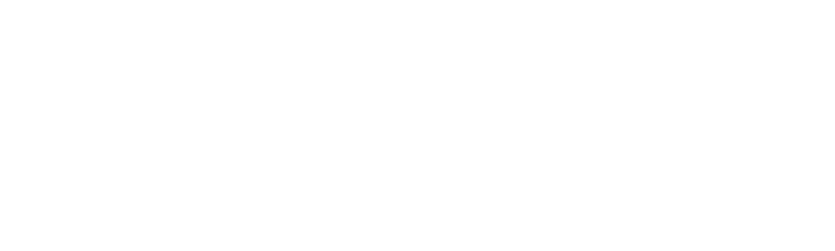 Grupo Laganne